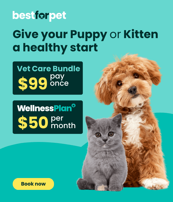 Best For Pet Puppy & Kitten Vet Care Bundle