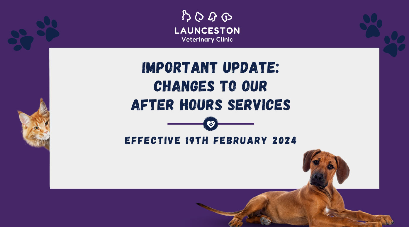 Updates to our out-of-hours services