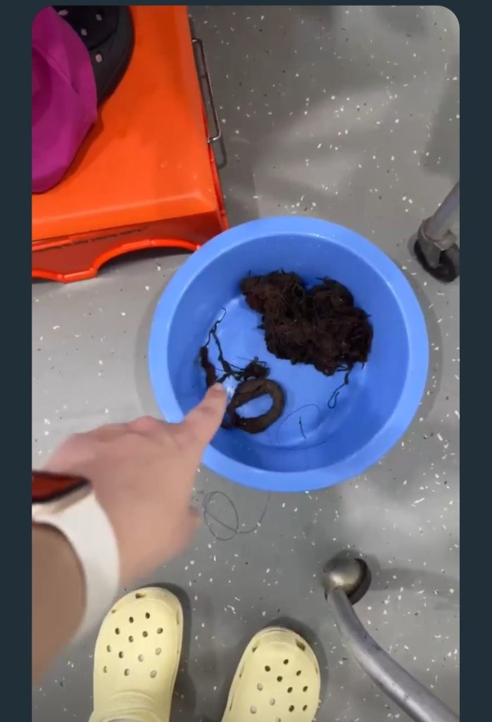 $5 dog toy turns to exlap